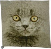 Mars & More theedoek britse korthaar kat