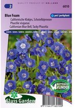 Sluis Garden - Droombijenvoer Blue Foam (Phacelia)