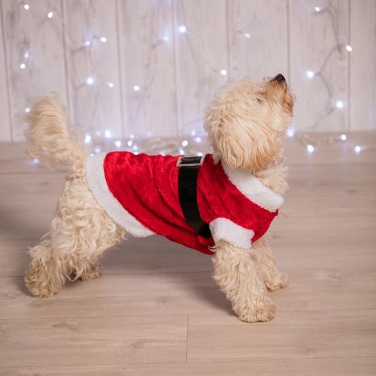 Kerstman Kostuum Hond - Dierenkleding Rood/wit - 34,5 x x 2 cm | bol.com