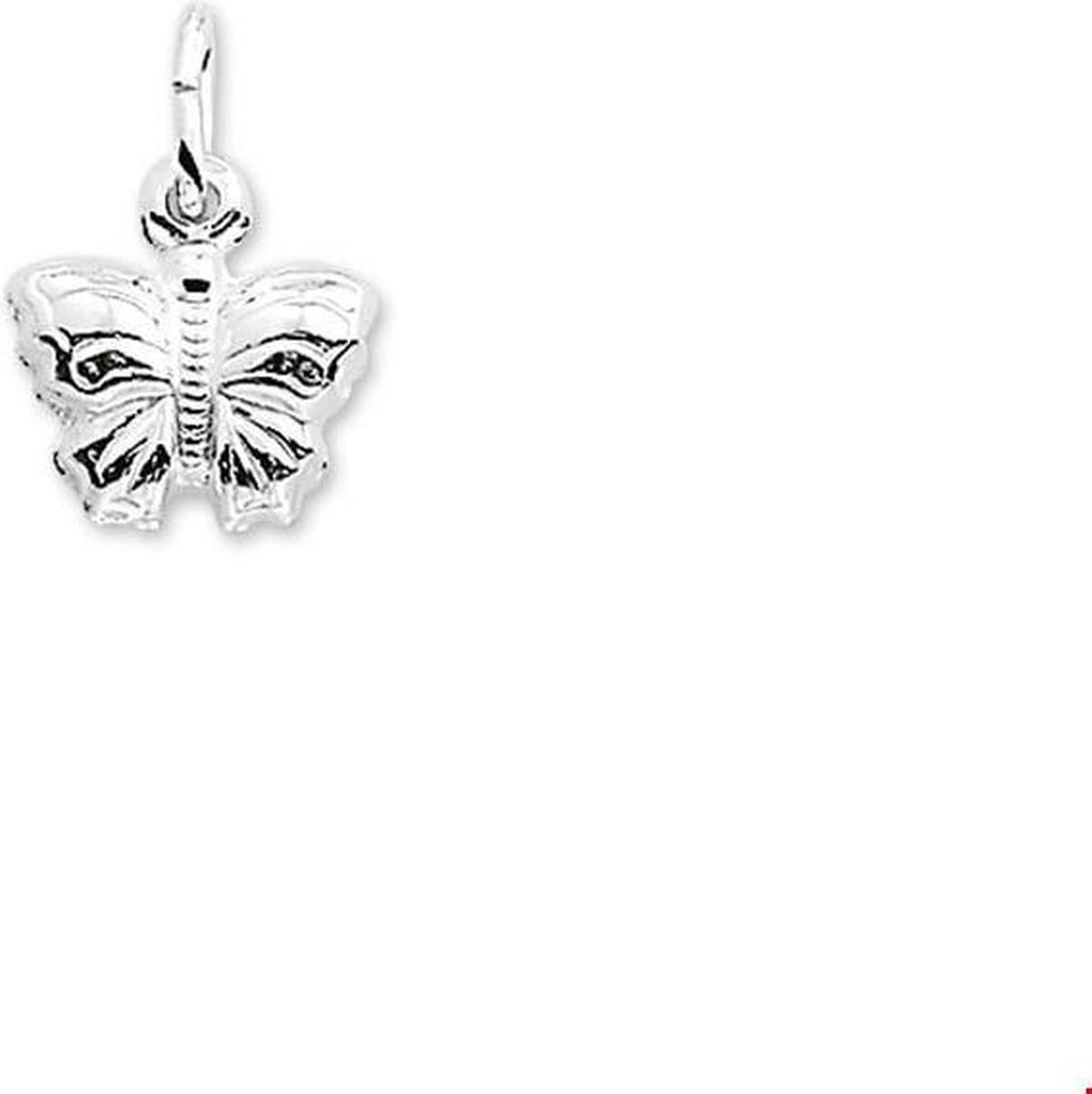 13.21751 Bedel Zilver Vlinder