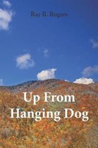 Up From Hanging Dog