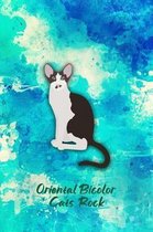 Oriental Bicolor Cats Rock