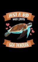 Just A Boy Who Loves Sea Turtles