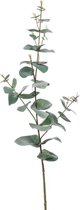 Groene Eucalyptus kunsttak kunstplant  68 cm