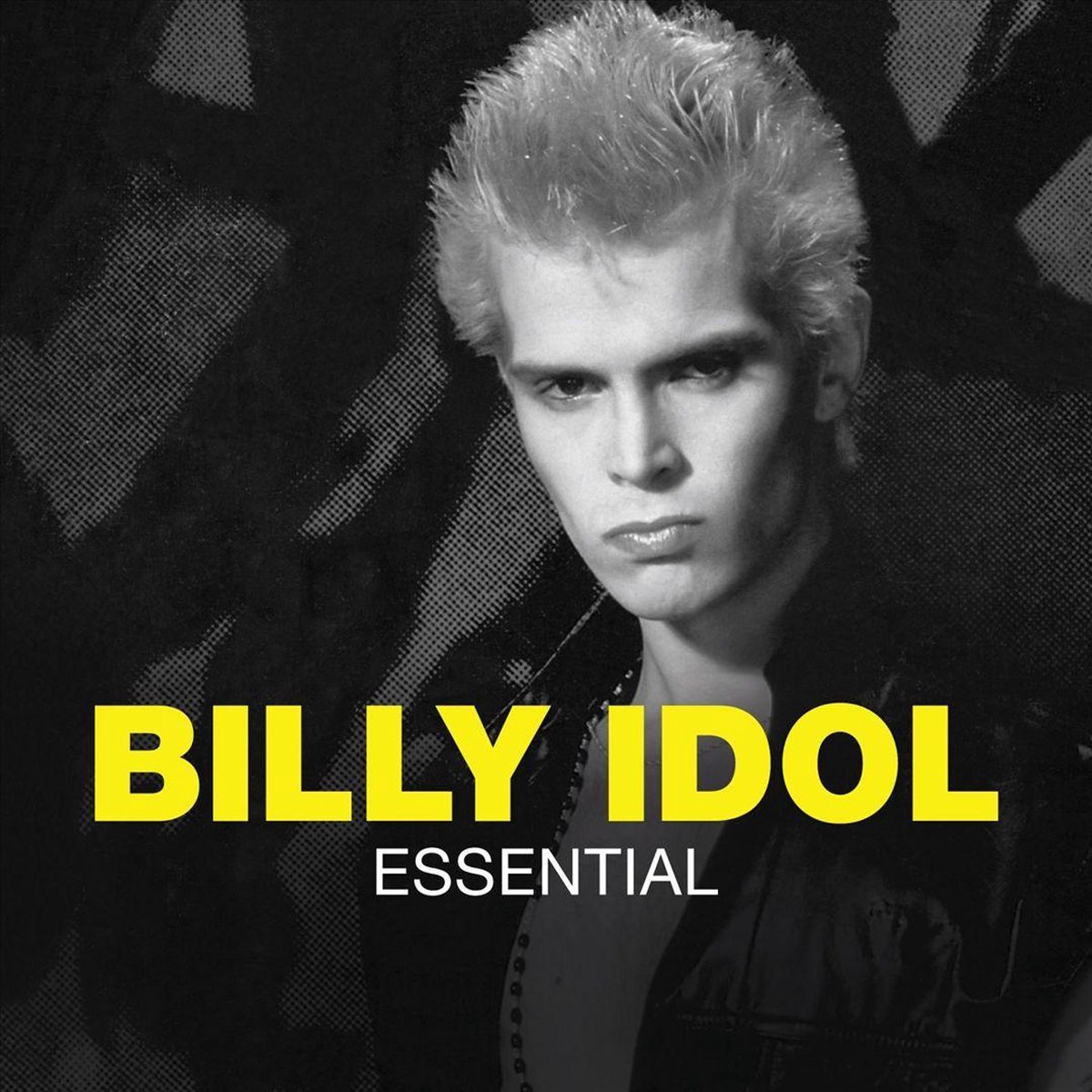 Essential Billy Idol Cd Album Muziek 8077