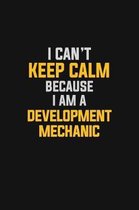I Can't Keep Calm Because I Am A Development Mechanic
