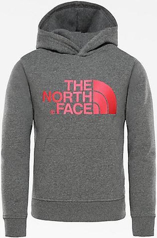 The North Face Drew Peak Light Hd Trui Kinderen - Tnf Medium Grey Heather |  bol.com