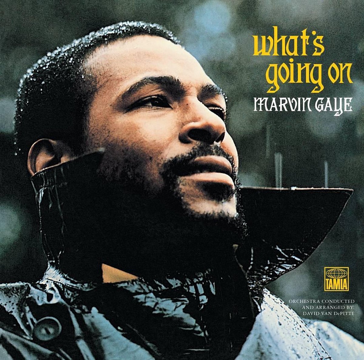Marvin Gaye - What'S Going On