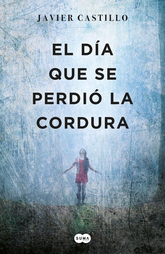 El día que se perdió la cordura - cover