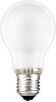 Standaardlamp 24/28V mat 60W grote fitting E27