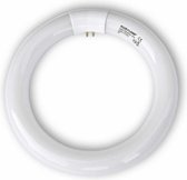 Lamp 32 Watt rond