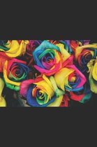 A Rainbow of Roses