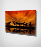 Horses In Sunset Canvas | 70x100 cm