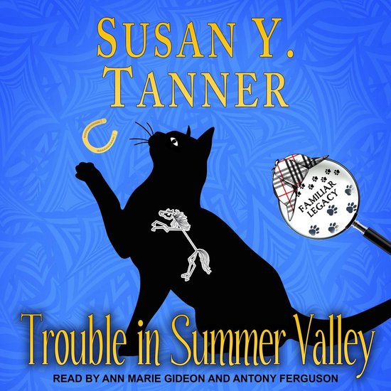 Trouble in Summer Valley - cover