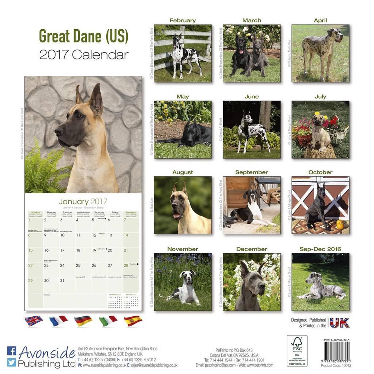 Duitse Dog Kalender - 2017