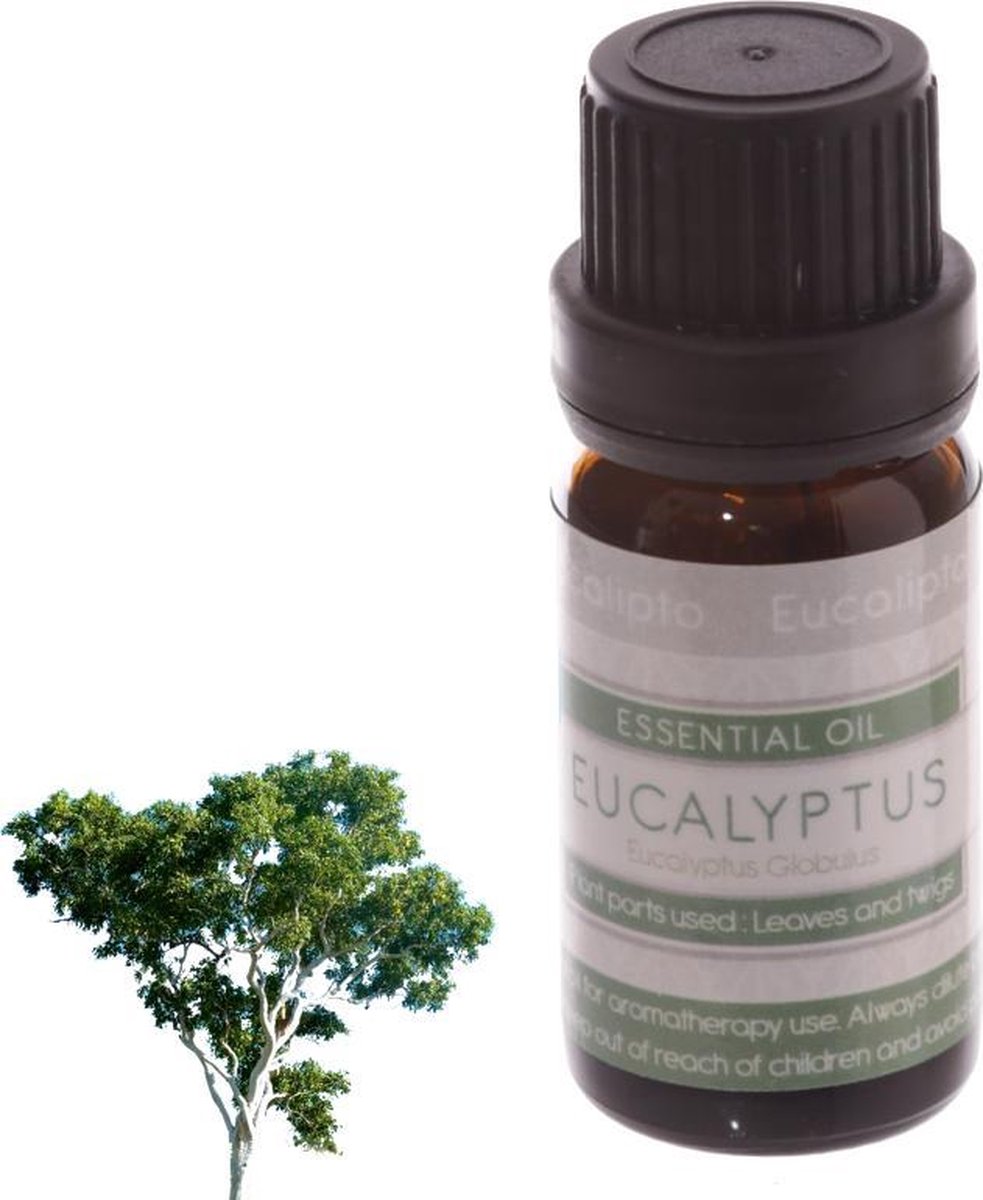 Goedkoopste Eucalyptus Essentiële Etherische Olie - 100 puur