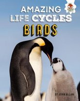 Birds - Amazing Life Cycles