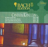 Bach Edition: Cantatas BWV 104, BWV 83, BWV 50 & BWV 183