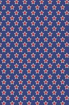 Patriotic Pattern United States of America 69