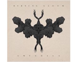 Amygdala