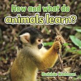 How & What Do Animals Learn