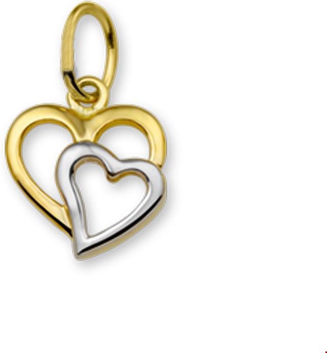 40.18476 Hanger dubbel hart Goud/Witgoud