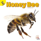 Flying Insects - Honey Bee