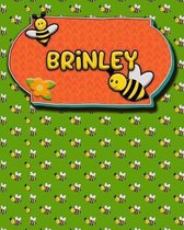 Handwriting Practice 120 Page Honey Bee Book Brinley