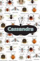 Cassandra