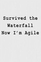 Survived the Waterfall Now I'm Agile