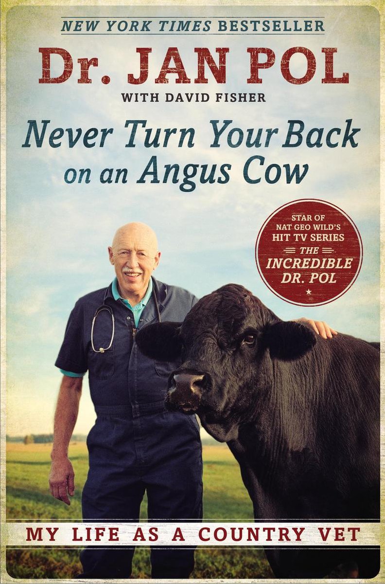Never Turn Your Back On Angus Cow - Dr Jan Pol