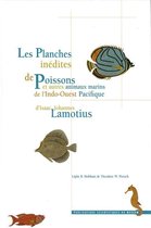 Des planches et des mots - Les Planches inédites de poissons et autres animaux marins de l'Indo-Ouest Pacifique d'Isaac Johannes Lamotius