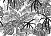 Poster Tropische Jungle Planten - A3 - 42x30 - Botanisch - Zwart-Wit - Natuur - Bladeren