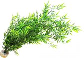 Sydeco bamboe bos vivarium 64cm