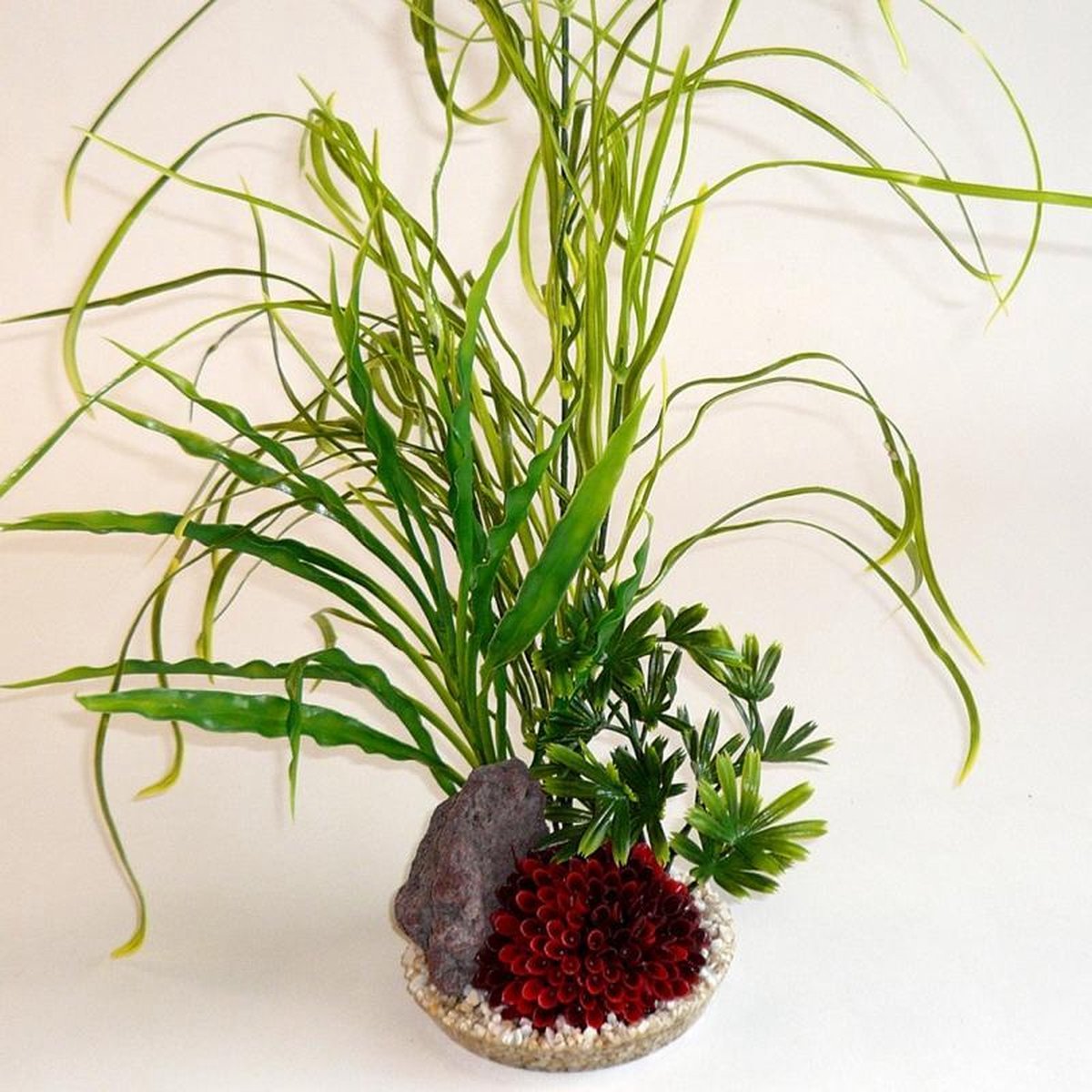 Sydeco lelie gras rock 45CM