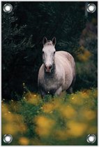 Tuinposter –Schimmel Paard– 60x90cm Foto op Tuinposter (wanddecoratie voor buiten en binnen)