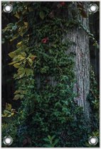 Tuinposter –Begroeide Boom– 60x90cm Foto op Tuinposter (wanddecoratie voor buiten en binnen)