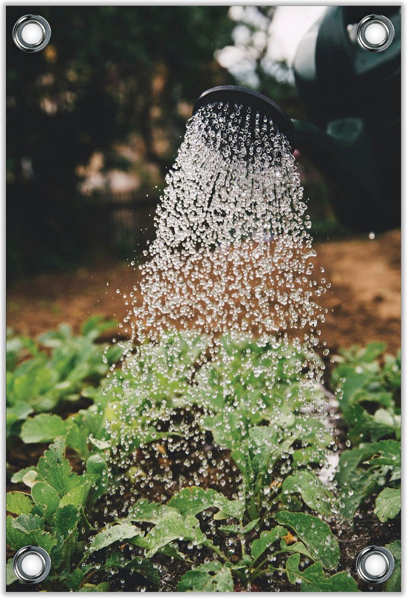Tuinposter –Met de Gieter de Planten Water geven– 60x90cm Foto op Tuinposter (wanddecorati