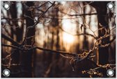 Tuinposter –Nachtvorst in het Bos– 90x60cm Foto op Tuinposter (wanddecoratie voor buiten en binnen)