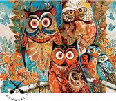 Schilderenopnummers.com® - Schilderen op nummer volwassenen - Uilen - 50x40 cm - Paint by numbers