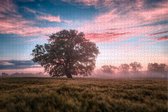 Mooie Zonsopkomst op Puzzel - Extra Moeilijke Puzzel 1500 stukjes | Landschap - Natuur