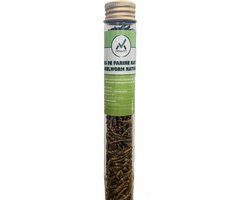 Gedroogde meelworm - natuur