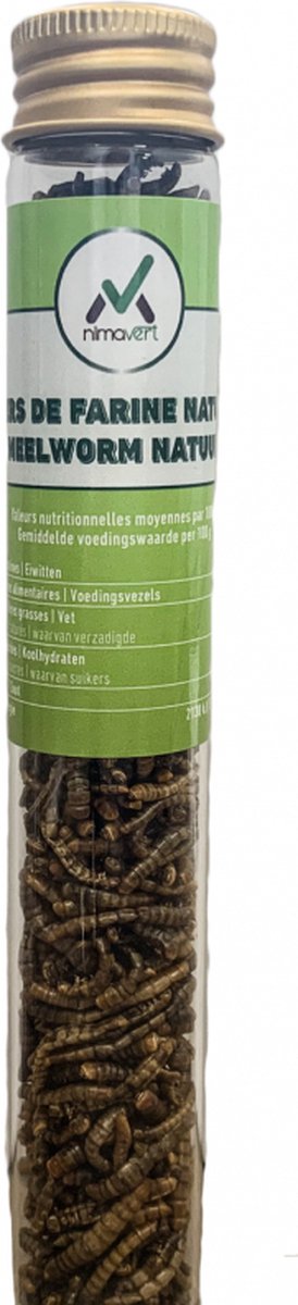 Gedroogde meelworm - natuur