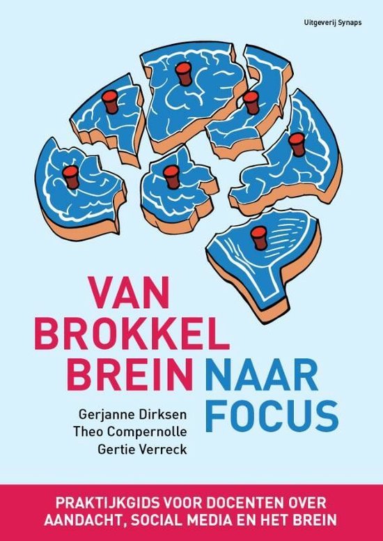 Boek cover Van brokkelbrein naar focus van Gerjanne Dirksen (Paperback)