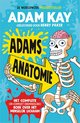 Adams anatomie
