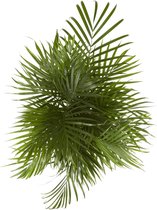 Kamerplant van Botanicly – Goudspalm – Hoogte: 115 cm – Dypsis lutescens