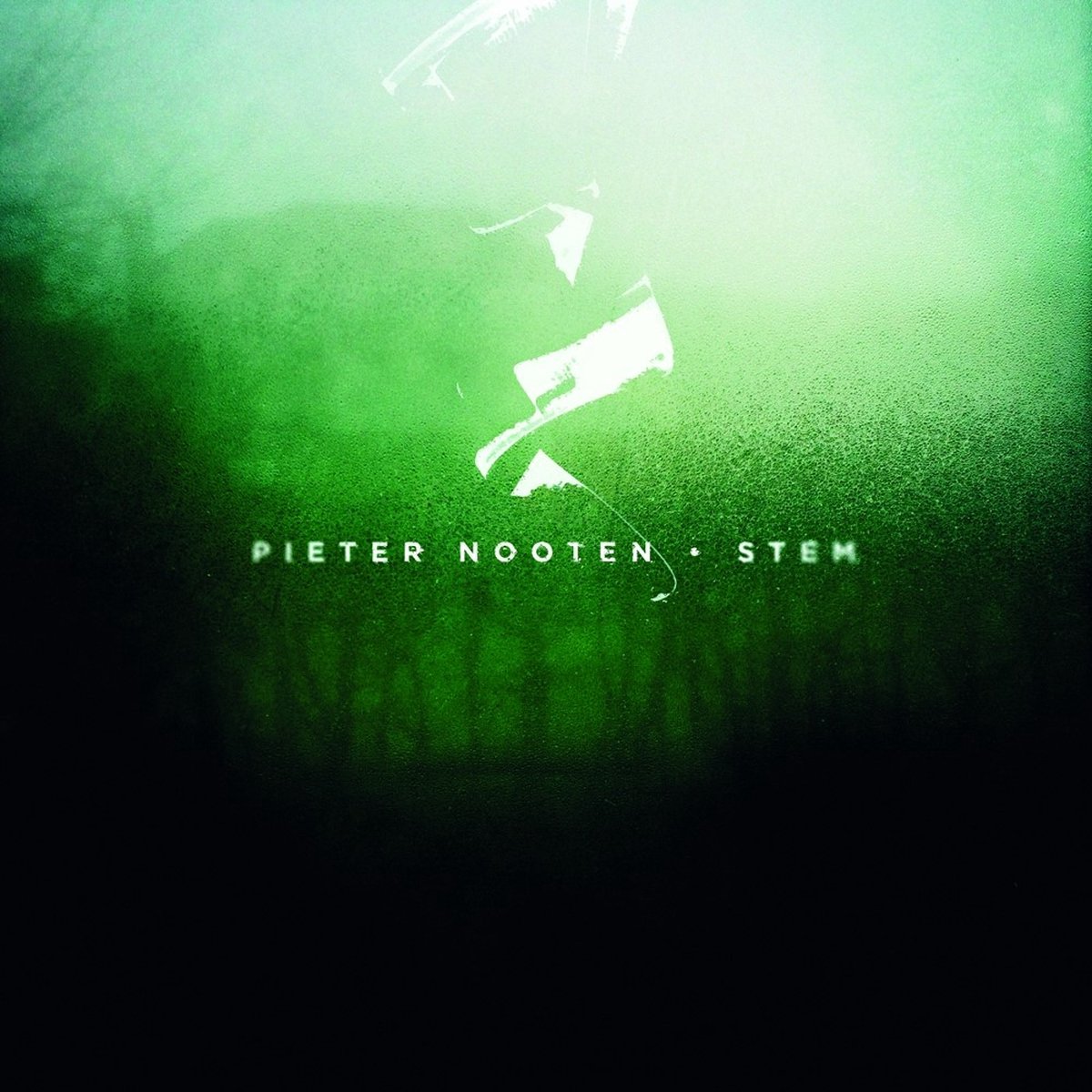 Pieter Nooten - Stem (LP) (Limited Edition)