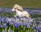 Wilde Pferde 2022