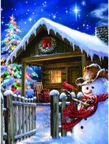 Diamond painting - Kerst huisje met sneeuwpop - Kerst - Geproduceerd in Nederland - 50 x 70 cm - canvas materiaal - vierkante steentjes - Binnen 2-3 werkdagen in huis