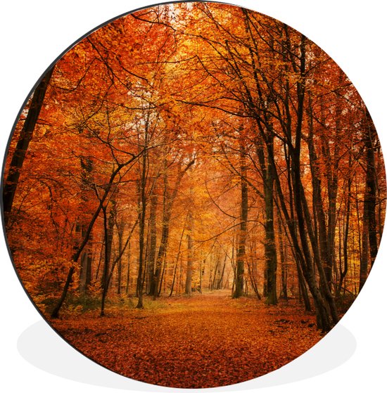 Wandcirkel - Muurcirkel - Een bos met herfstachtige kleuren - Aluminium - Dibond - ⌀ - Binnen en Buiten